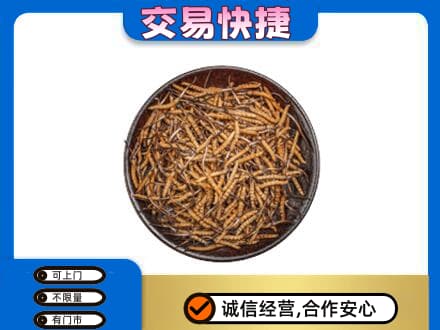 平凉礼品回收虫草.jpg